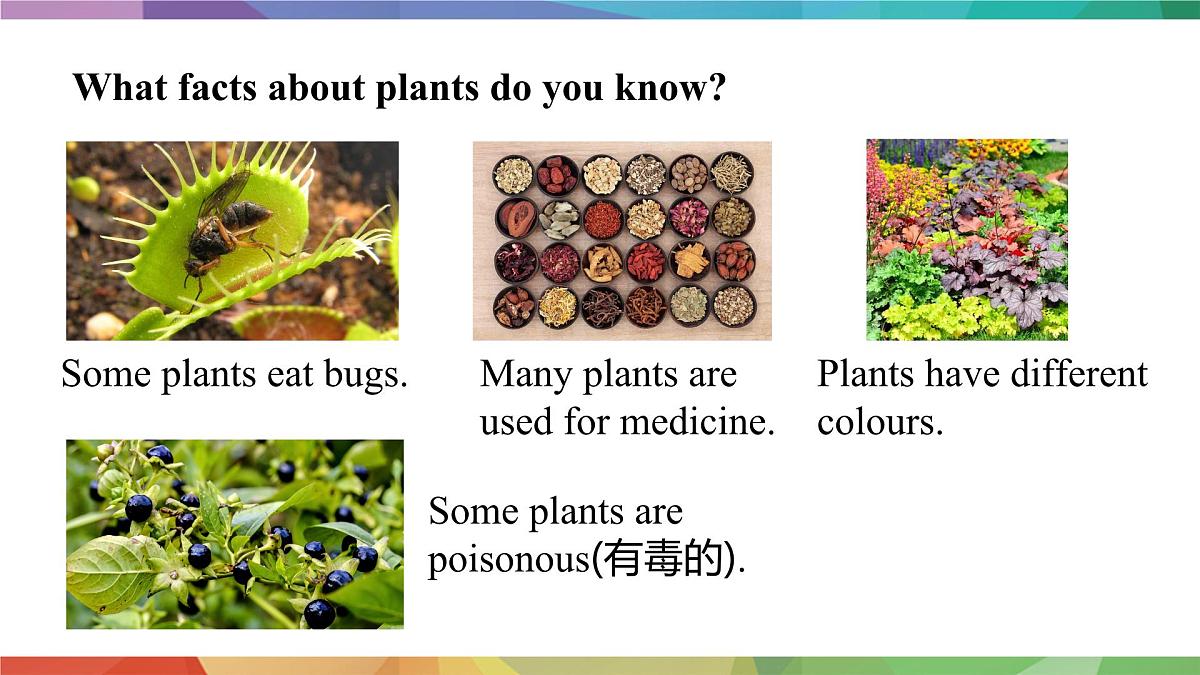 2025年外研版七年级英语上册Unit 6 The power of plants Lesson 1(课件)第5页