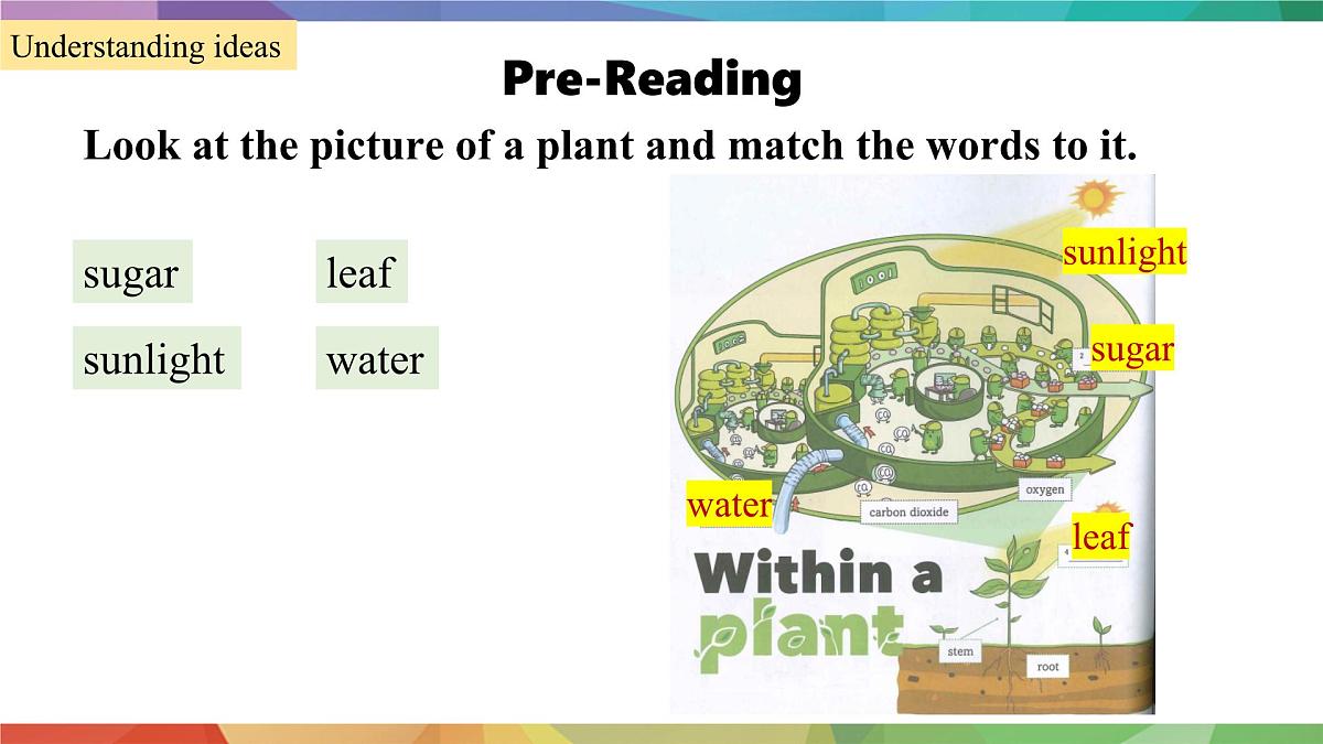 2025年外研版七年级英语上册Unit 6 The power of plants Lesson 1(课件)第7页