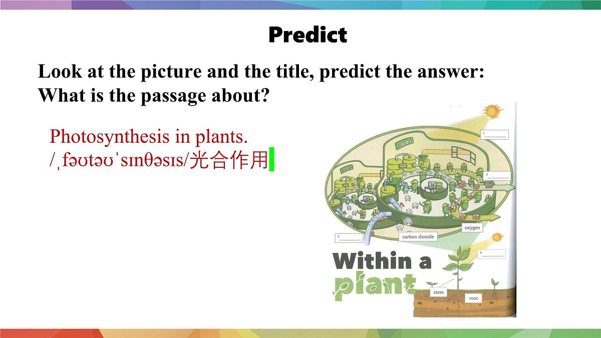 2025年外研版七年级英语上册Unit 6 The power of plants Lesson 1(课件)第8页