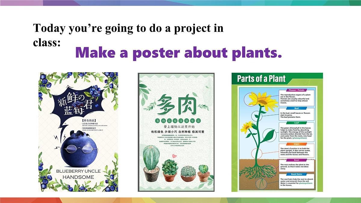 2025年外研版七年级英语上册Unit 6 The power of plants Lesson 5 Presenting ideas(课件)第4页