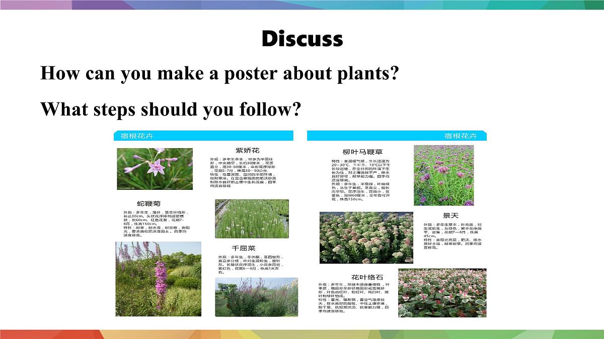 2025年外研版七年级英语上册Unit 6 The power of plants Lesson 5 Presenting ideas(课件)第5页