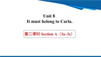 初中英语人教版(2024)九年级全册Unit 8 It must belong to Carla. Section A教案配套ppt课件