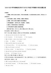 2024-2025学年湖南省长沙市宁乡市八年级下学期期中英语试题及答案