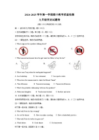【9上英WY】合肥市包河区2024-2025学年九年级上学期11月期中考试英语试题