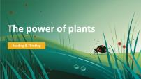 初中英语外研版(2024)七年级上册(2024)Unit 6 The power of plants教案配套ppt课件