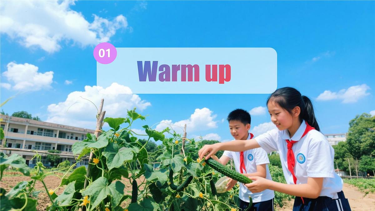 冀教版英语八年级上册 Unit 1 课时5 Lesson 5 同步课件第4页
