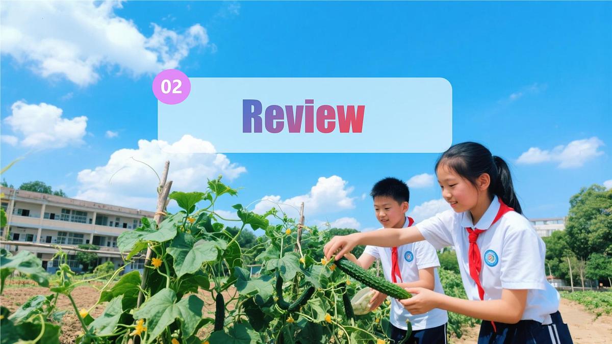冀教版英语八年级上册 Unit 1 课时5 Lesson 5 同步课件第6页