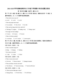 2024-2025学年湖南省郴州市八年级下学期期中英语试题及答案