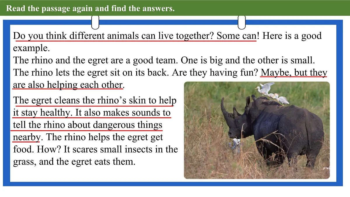 Unit 5 Lesson 2 The rhino and the egret课件第6页