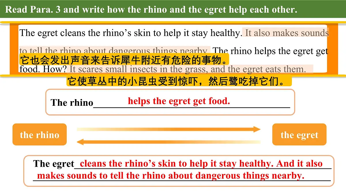 Unit 5 Lesson 2 The rhino and the egret课件第8页