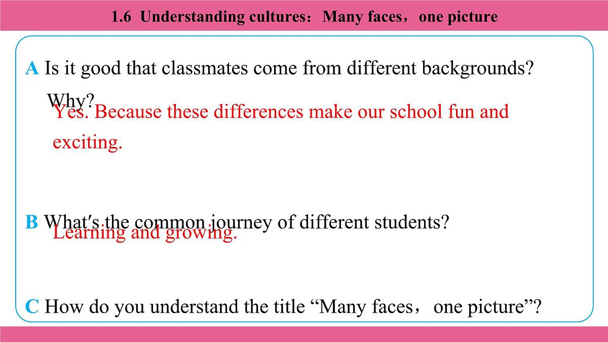 1.6 Understanding cultures:Many faces,one picture第6页