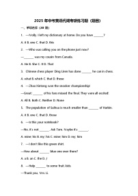2025年中考英语代词专项练习题