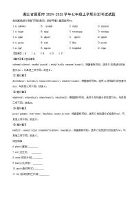 湖北省襄阳市2024-2025学年七年级上学期开学分班考试英语试卷（解析版）