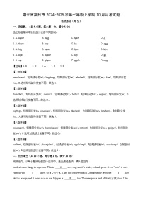 湖北省荆州市2024-2025学年七年级上学期10月月考英语试卷（解析版）