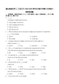 湖北省武汉市七一华源中学2023-2024学年九年级下学期5月归纳小结英语试题
