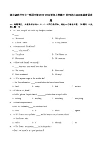 湖北省武汉市七一华源中学2023-2024学年上学期11月归纳小结九年级英语试题