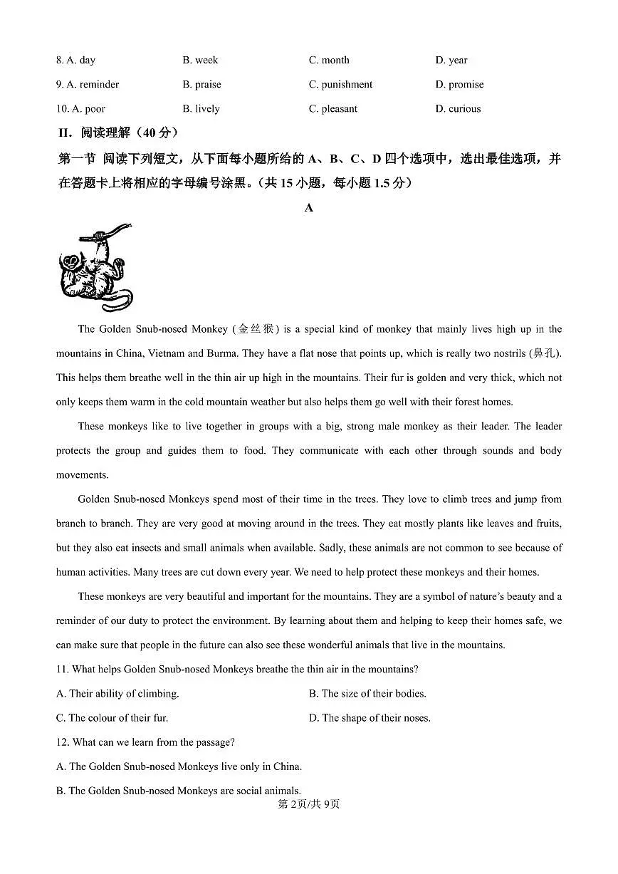 2024-2025深圳市龙岗区九年级上学期期中联考英语试题(原卷版)第2页