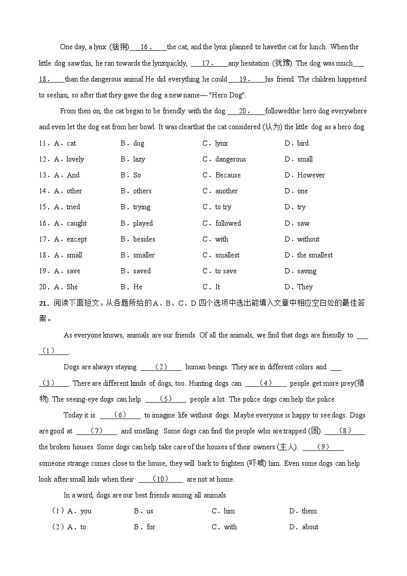 Unit 5 Animal friends 单元完形填空专练(含解析)-七年级英语下册单元重难点高频易错题专第2页