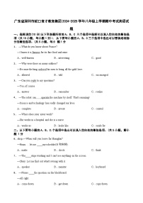广东省深圳市蛇口育才教育集团2024-2025学年八年级上学期期中考试英语试题