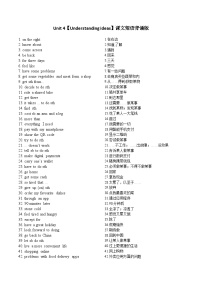 外研版（2024）八年级上册（2024）Unit 4 Digital lifeUnderstanding ideas练习