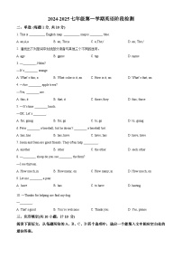 精品解析：山东省青岛市城阳区两校联考2024-2025学年七年级上学期10月月考英语试题含答案