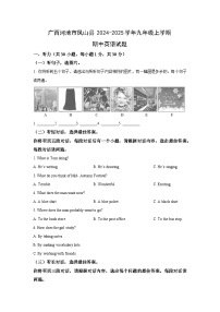 广西河池市凤山县2024-2025学年九年级上学期期中英语试卷（学生版）