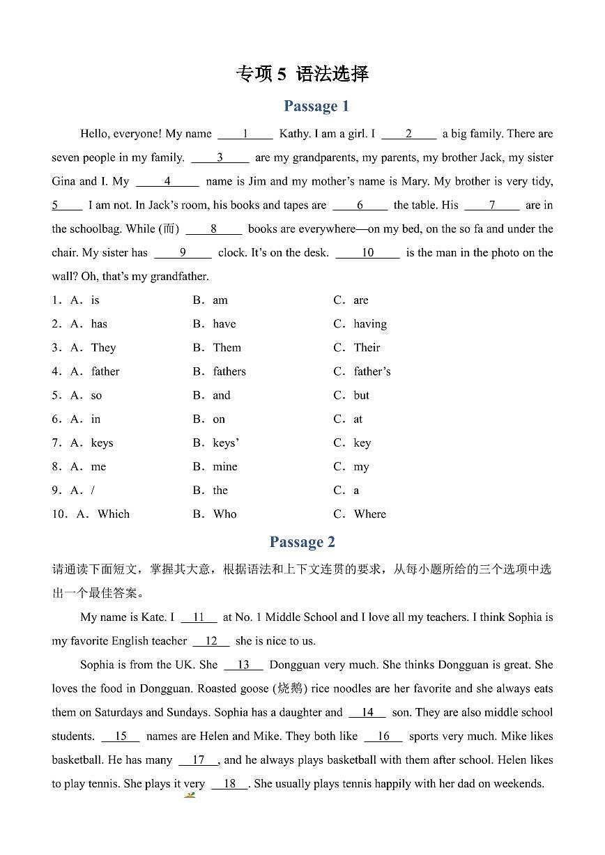 专项5 语法选择--人教版2024七年级上册期末专项(原卷版)第1页