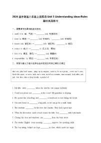 外研版（2024）八年级上册（2024）Understanding ideas同步测试题