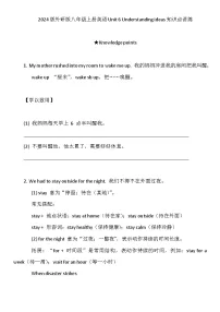 初中英语外研版（2024）八年级上册（2024）Understanding ideas当堂检测题