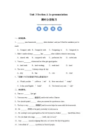 人教版(2024)八年级上册(2024)Unit 3 Same or Different? Section A Pronunciation精品课后测评