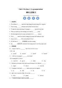 英语Unit 6 Plan for Yourself Section A Pronunciation精品同步达标检测题