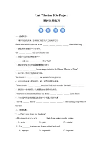 初中英语人教版（2024）八年级上册（2024）Unit 7 When Tomorrow Comes Section B Project优秀巩固练习