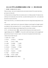 2024-2025学年山东省聊城市高唐县九年级（上）期末英语试卷-自定义类型