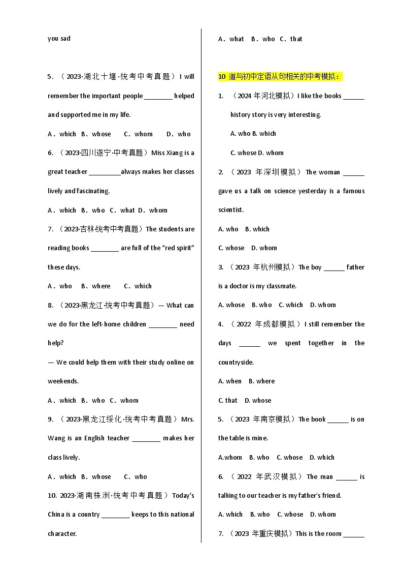 2025年中考英语单选题专练——定语从句练习题汇编(含答案)第2页