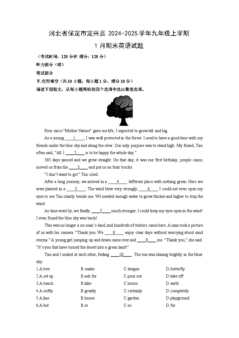 河北省保定市定兴县2024-2025学年九年级上学期1月期末英语试卷(学生版)第1页