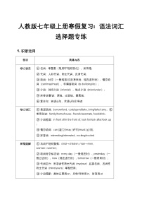 人教版七年级上册寒假复习:语法词汇选择题专练(解析版+原卷版)