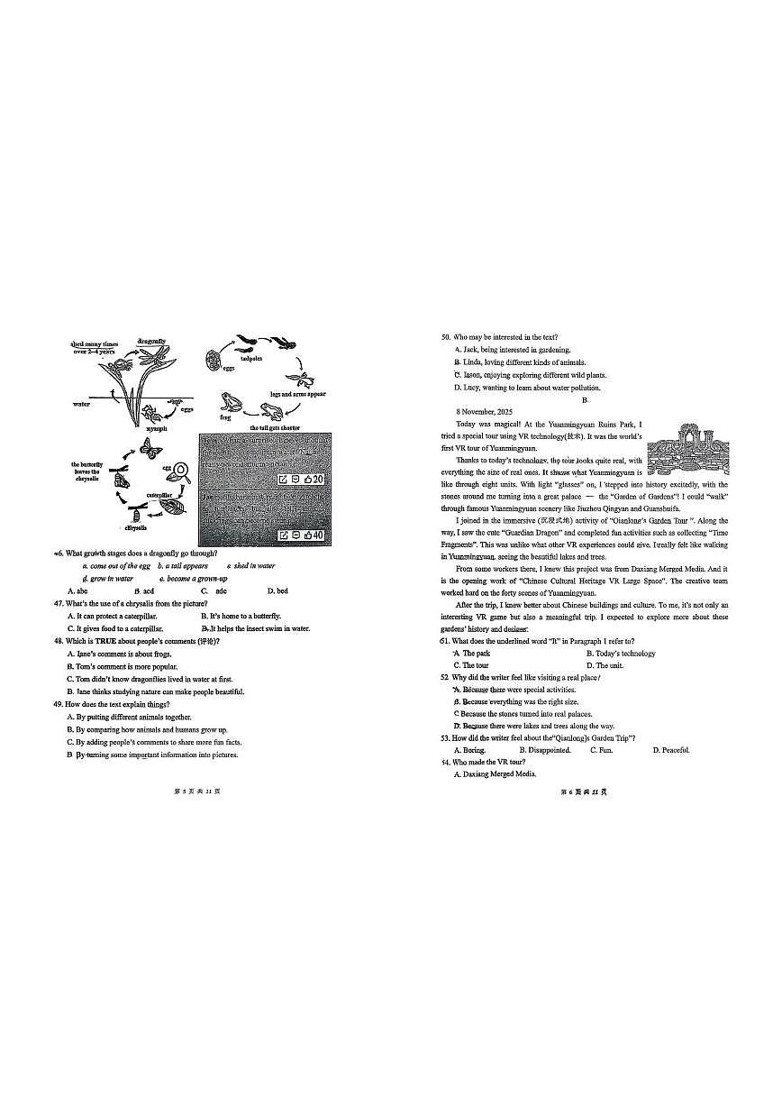 福建省厦门市湖滨中学2025-2026学年八年级上学期期中考试英语试卷第3页