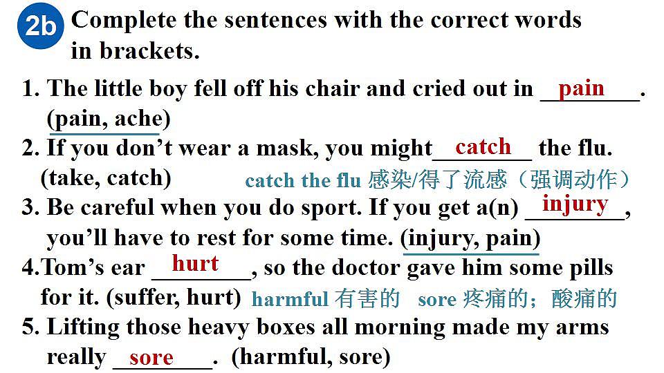 17843632第4页