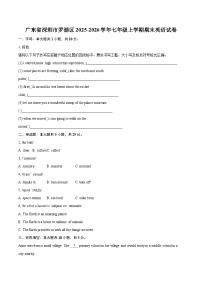 广东省深圳市罗湖区2025-2026学年七年级上学期期末英语试卷-自定义类型