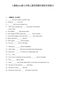 人教版2024版七年级上册英语期末语法专项练习含答案