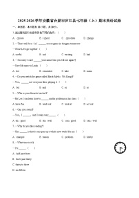 2025-2026学年安徽省合肥市庐江县七年级（上）期末英语试卷-自定义类型