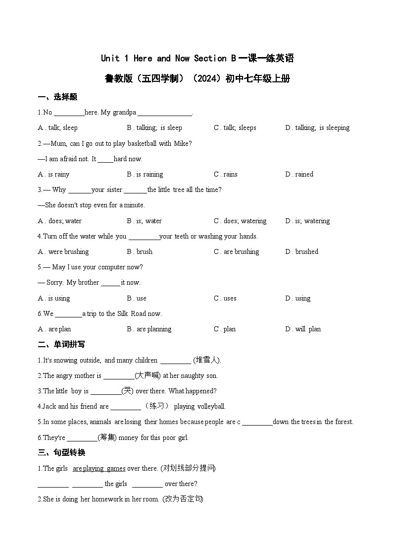 Unit 1 Here and Now Section B一课一练英语鲁教版(五四学制)(2024)初中七年级上册第1页