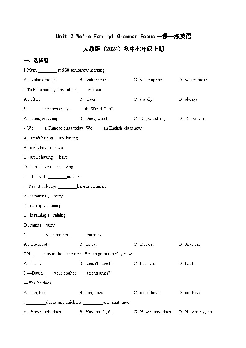 Unit 2 We're Family! Grammar Focus一课一练英语人教版(2024)初中七年级上册(无答案)第1页