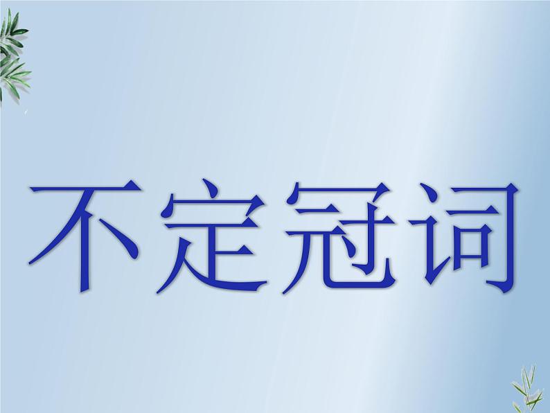 初中全新英语语法——冠词(共27张PPT)第3页