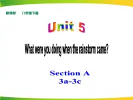 人教版新目标八年级下册英语Unit 5 What were you doing when the rainstorm came  Section A (3a-3c) 课件