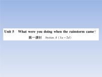 初中英语人教新目标 (Go for it) 版八年级下册Unit 5 What were you doing when the rainstorm came?综合与测试达标测试