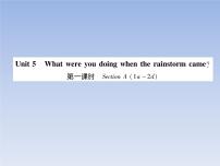 初中英语Unit 5 What were you doing when the rainstorm came?练习