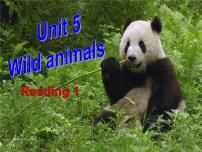 英语八年级上册Unit 5 Wild animals教课内容ppt课件