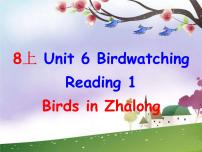 英语牛津译林版Unit 6 Bird watching背景图ppt课件