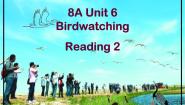 英语牛津译林版Unit 6 Bird watching授课课件ppt